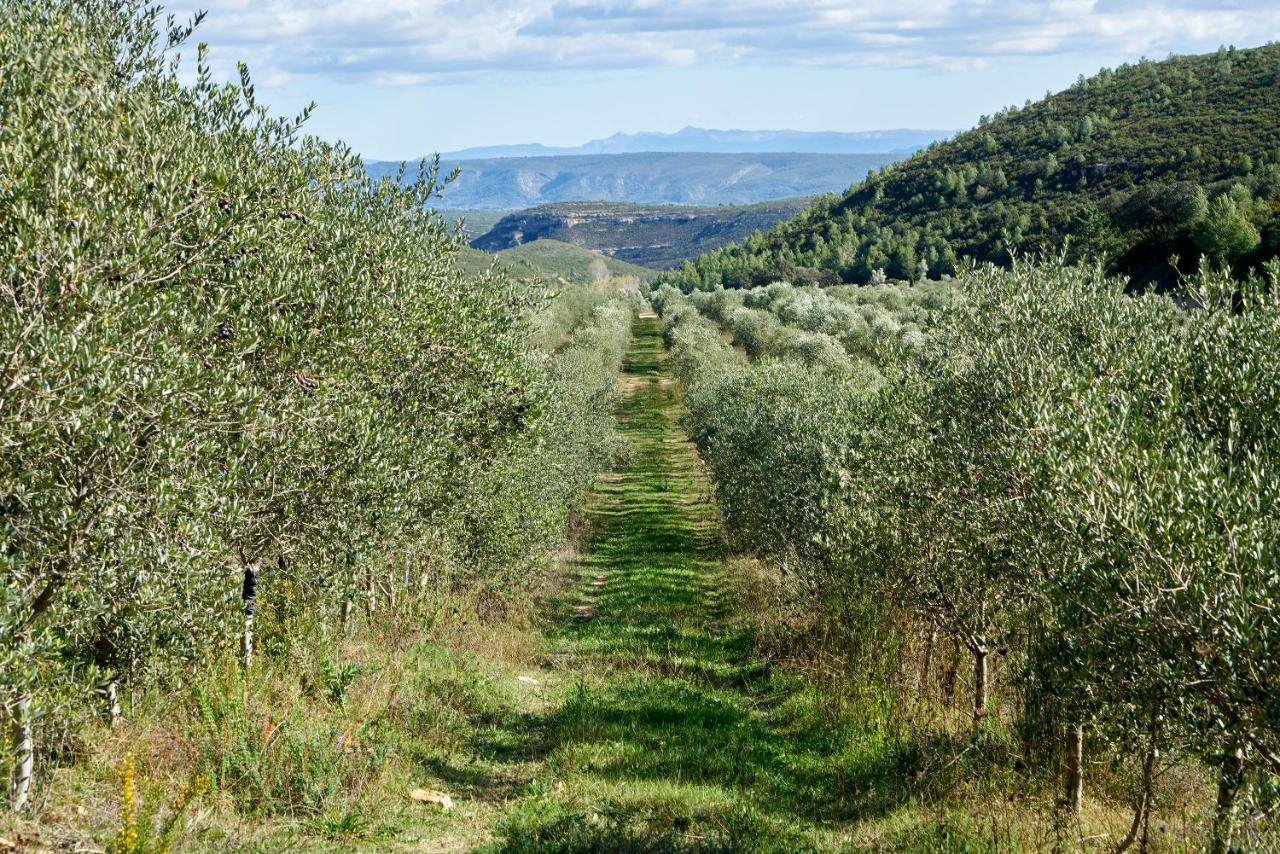 Finca Heredad La Boquilla Enguera Eksteriør billede