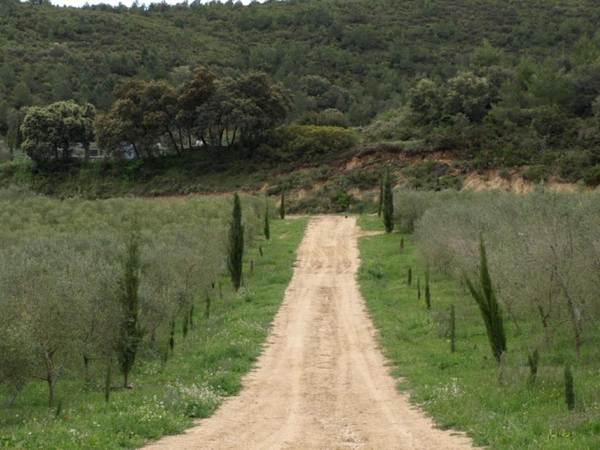 Finca Heredad La Boquilla Enguera Eksteriør billede