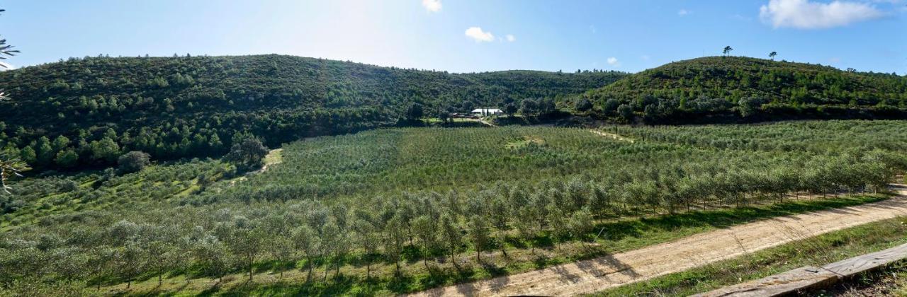 Finca Heredad La Boquilla Enguera Eksteriør billede