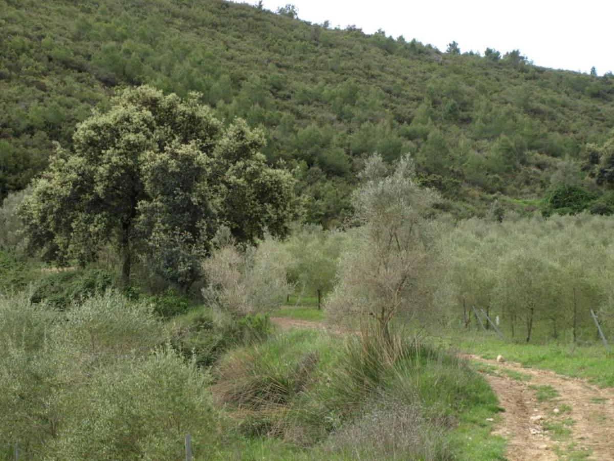 Finca Heredad La Boquilla Enguera Eksteriør billede